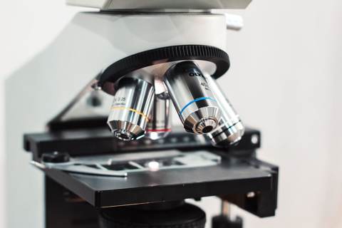 Chip Sector Shakeout Tests Nerves Before Micron Earnings
