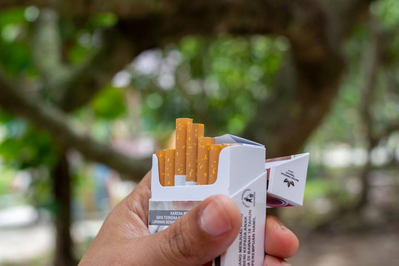 Cigarette packaging factory