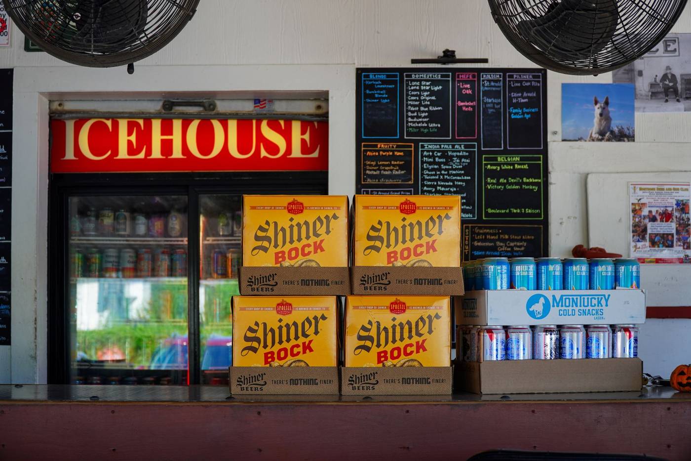 Craft beer cans cooler