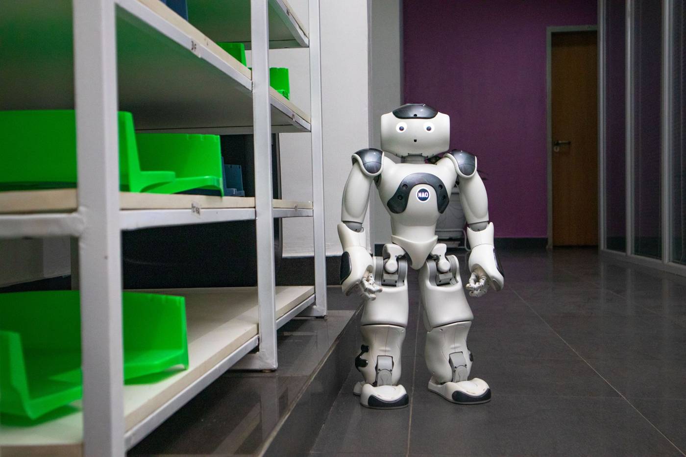 Humanoid robot warehouse