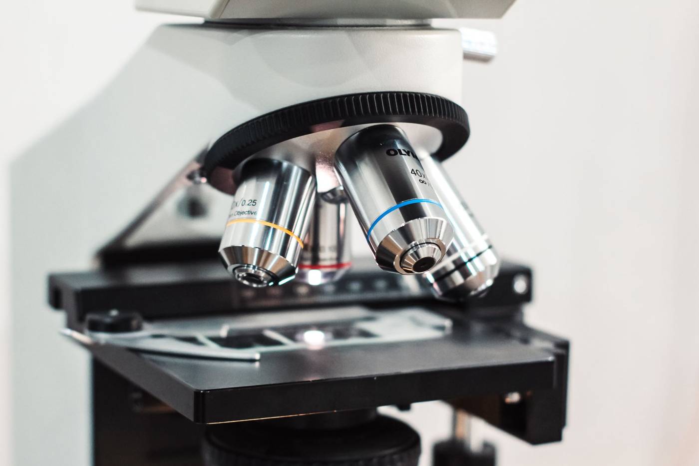 Micron Earnings Test AI Memory Trade After Sell Off
