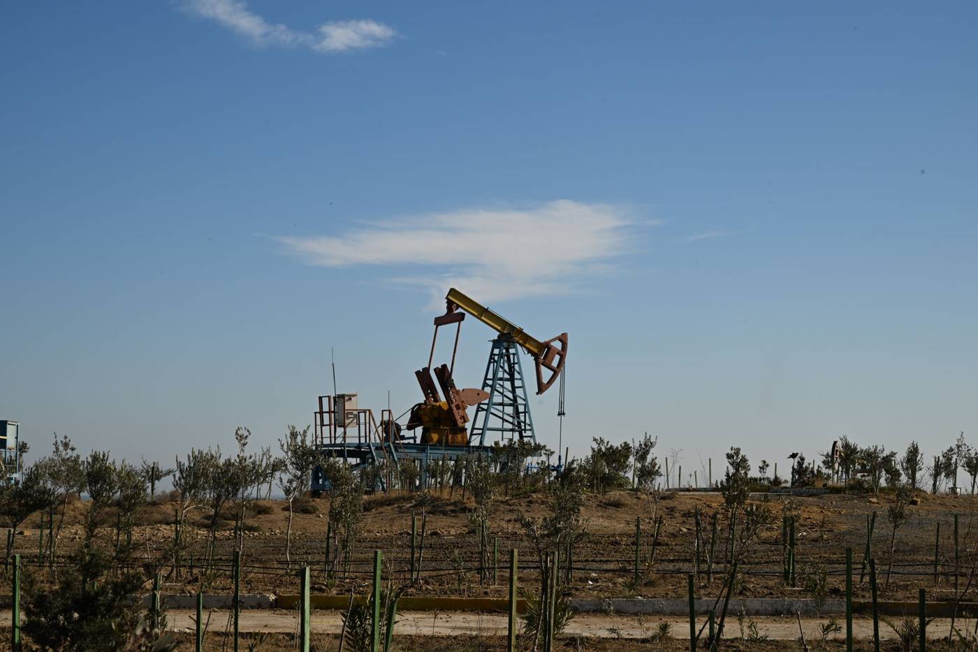Oil pump jack field